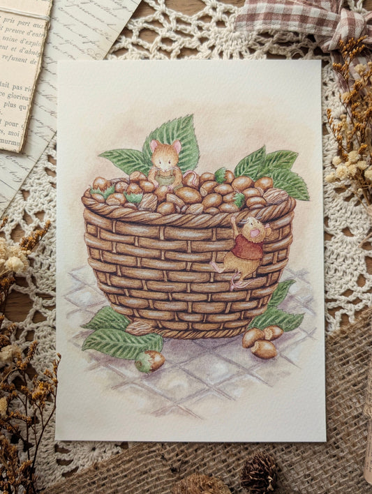 Illustration "Le Panier de Noisettes" Cosy Del Cottage