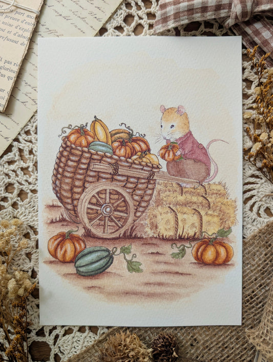 Illustration "Récolte de Citrouilles" Cosy Del Cottage