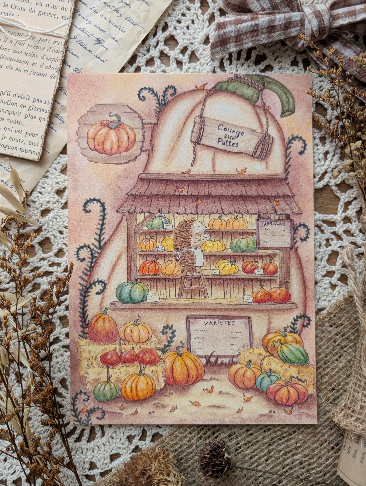 Illustration "Courge sur Pattes" Cosy Del Cottage