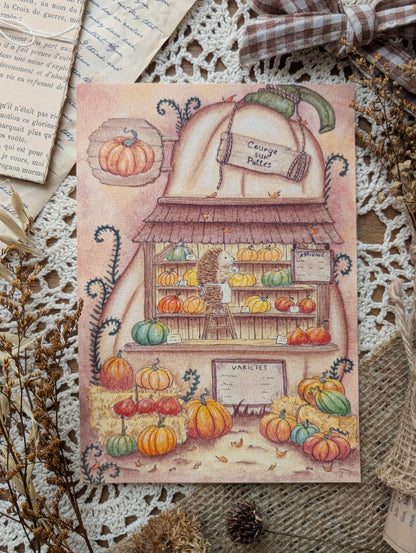 Illustration "Courge sur Pattes" Cosy Del Cottage