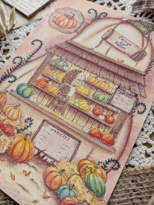 Illustration "Courge sur Pattes" Cosy Del Cottage
