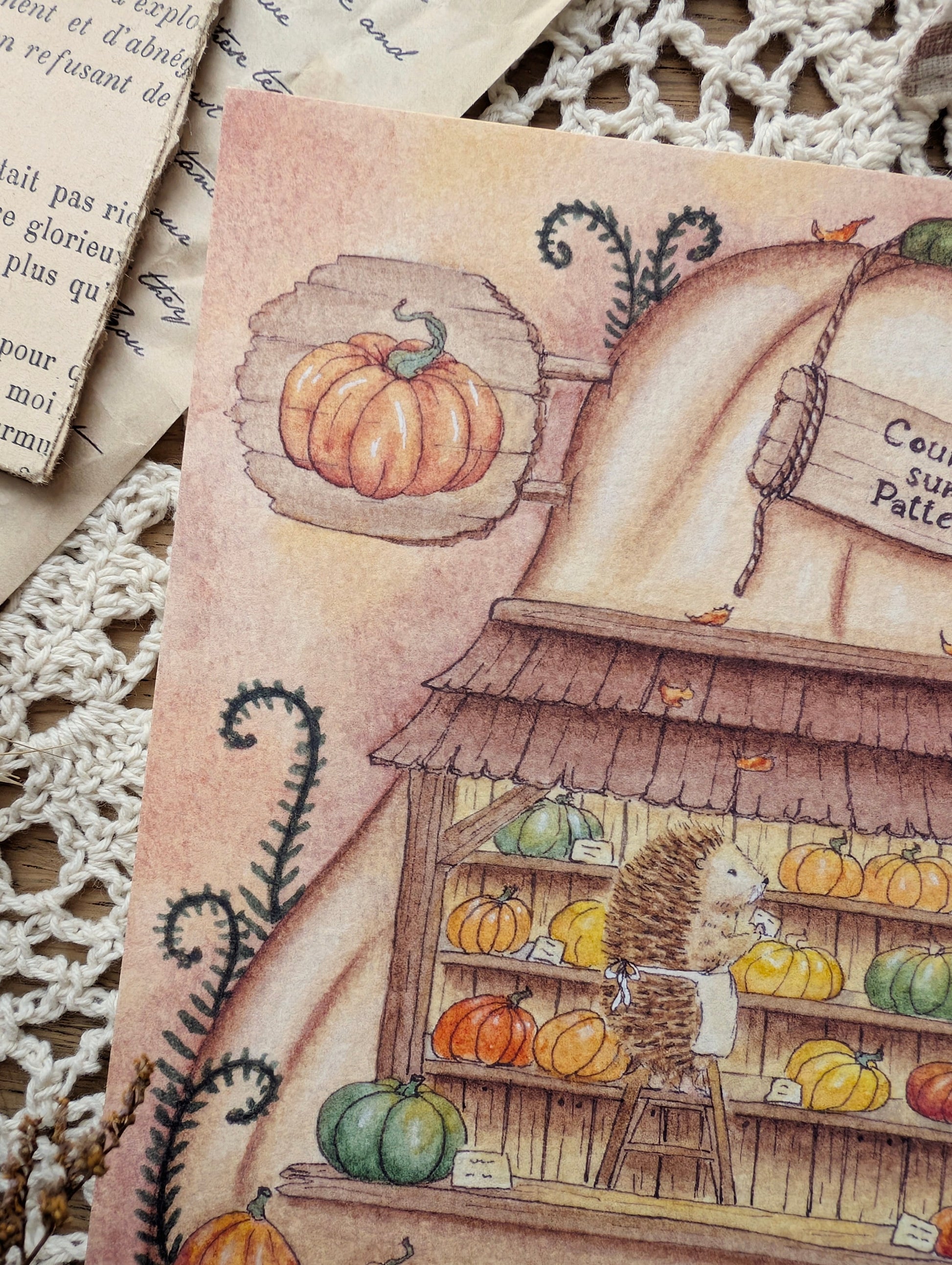 Illustration "Courge sur Pattes" Cosy Del Cottage