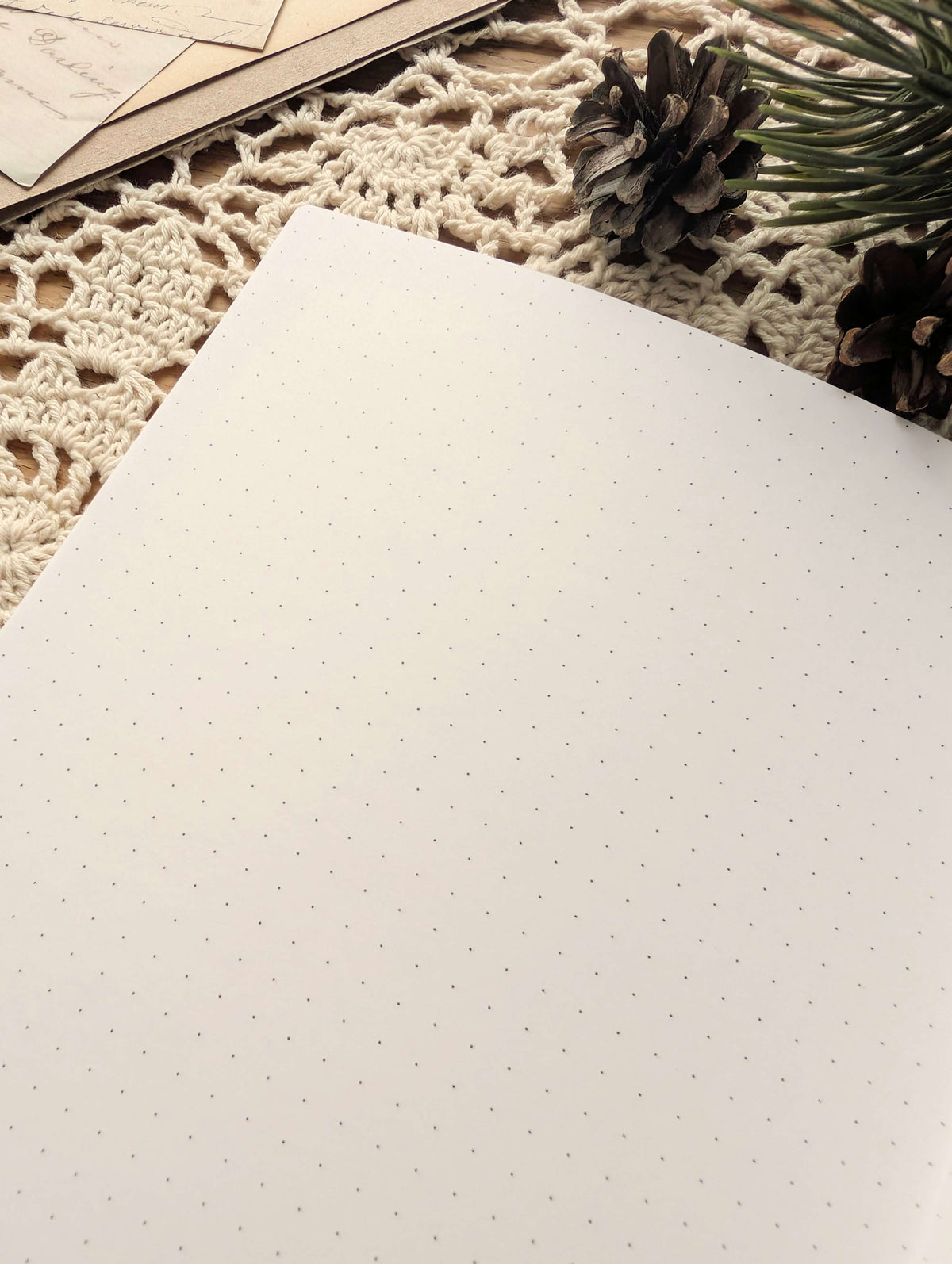 Carnet "Gros Nœud" Cosy Del Cottage
