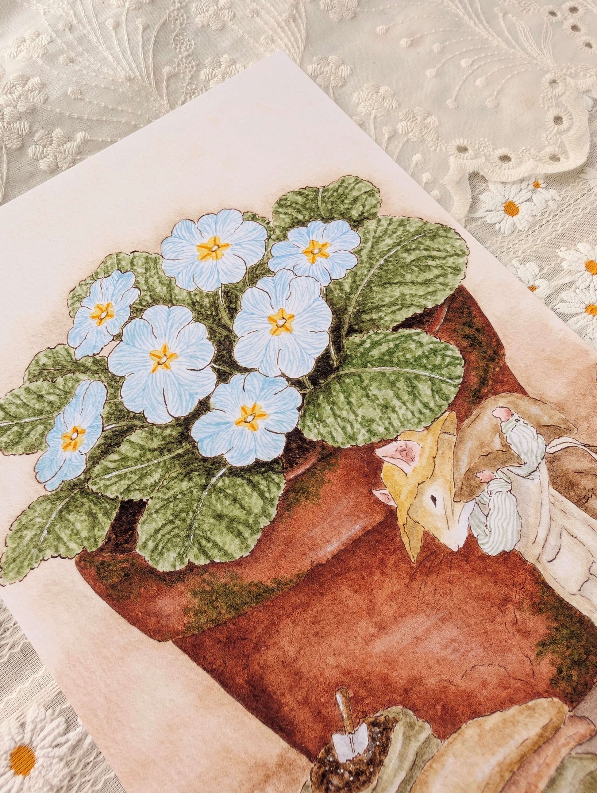 Illustration "Les Primevères" Cosy Del Cottage