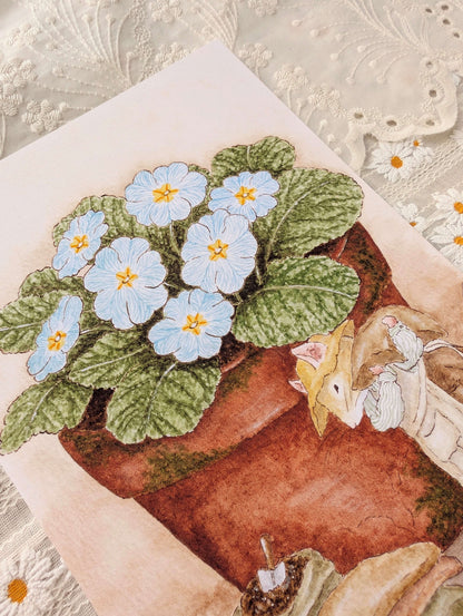 Illustration "Les Primevères" Cosy Del Cottage