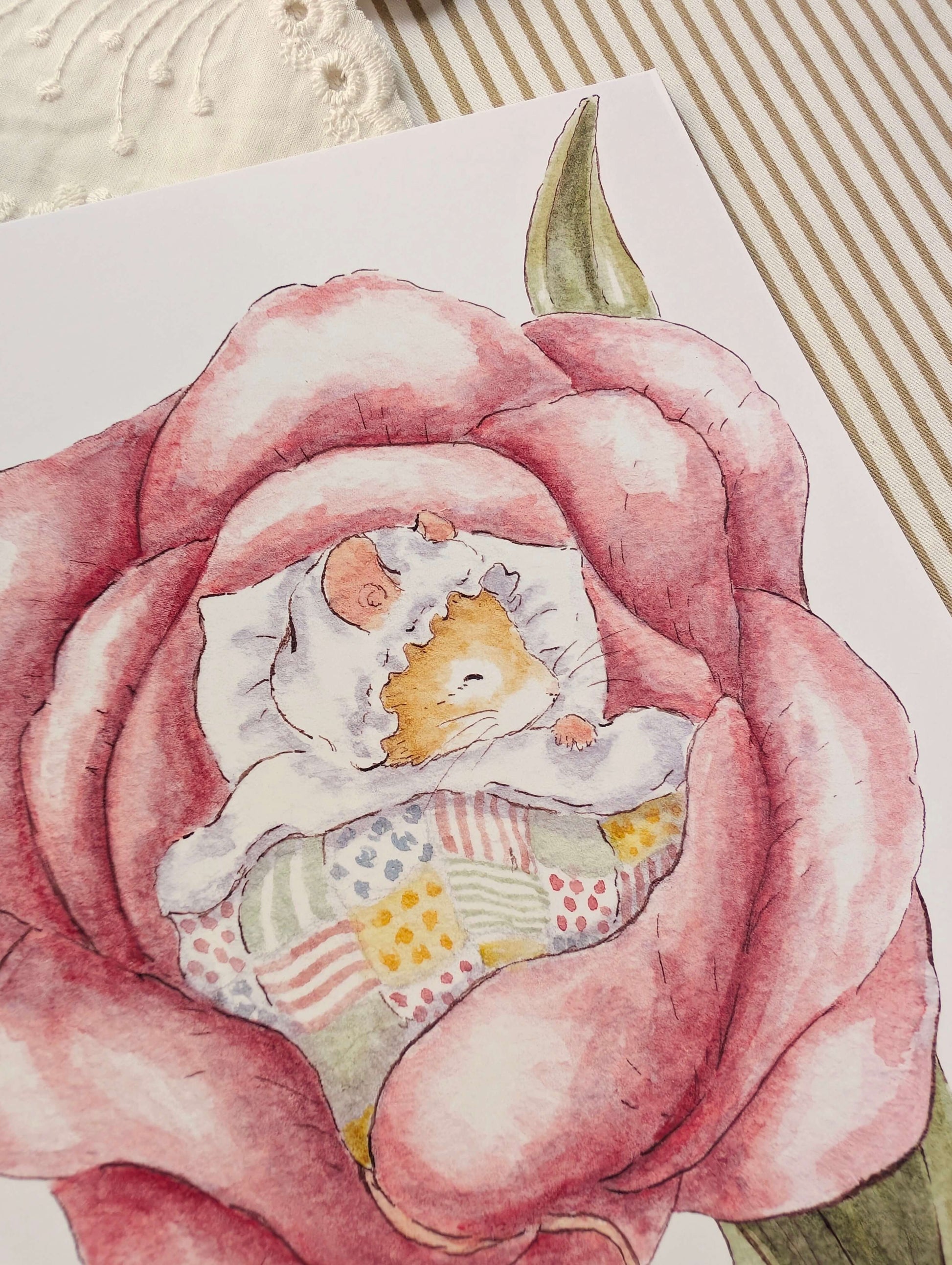 Illustration "Souris des Champs" Cosy Del Cottage