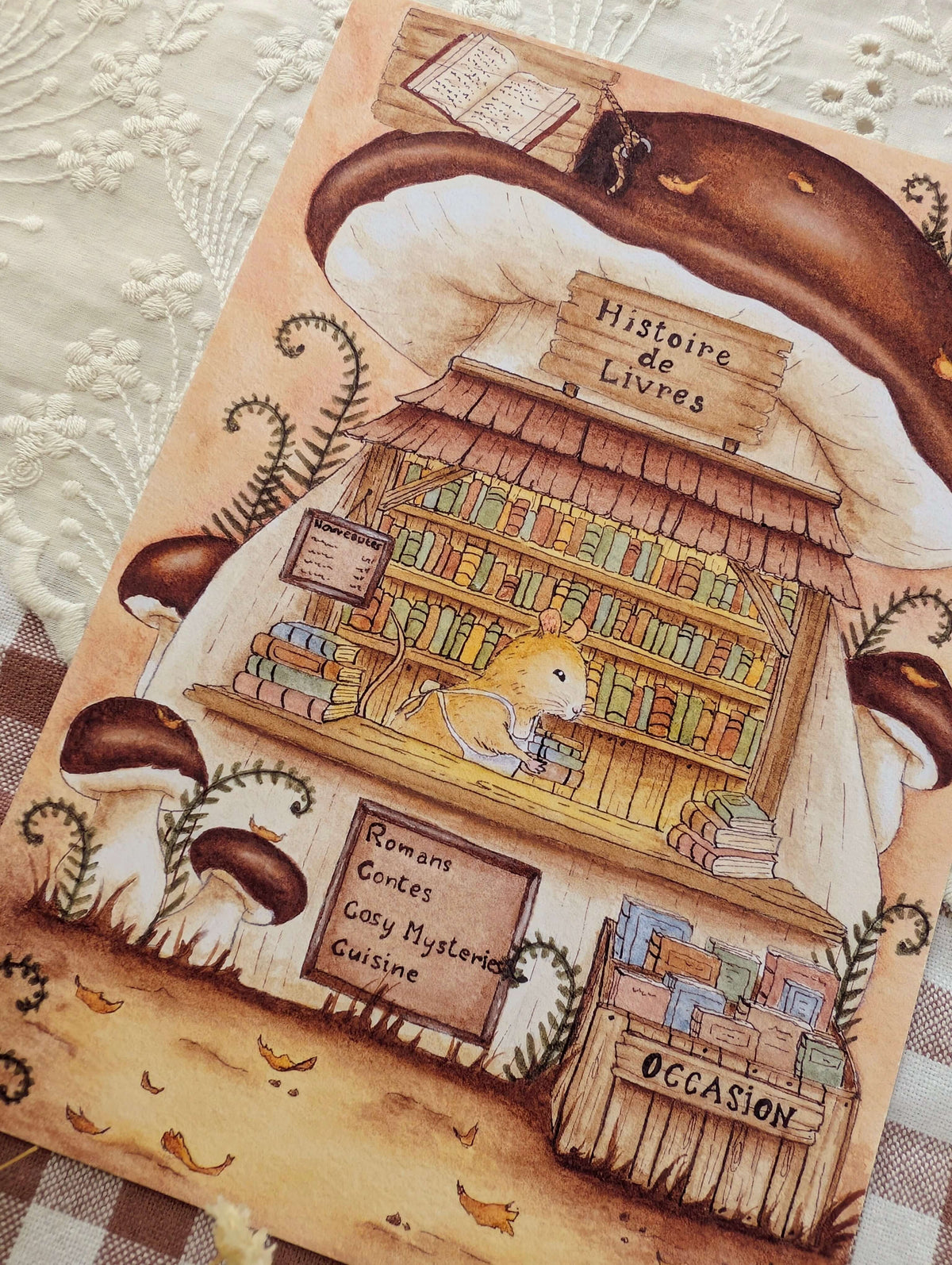Illustration "Histoire de Livres"