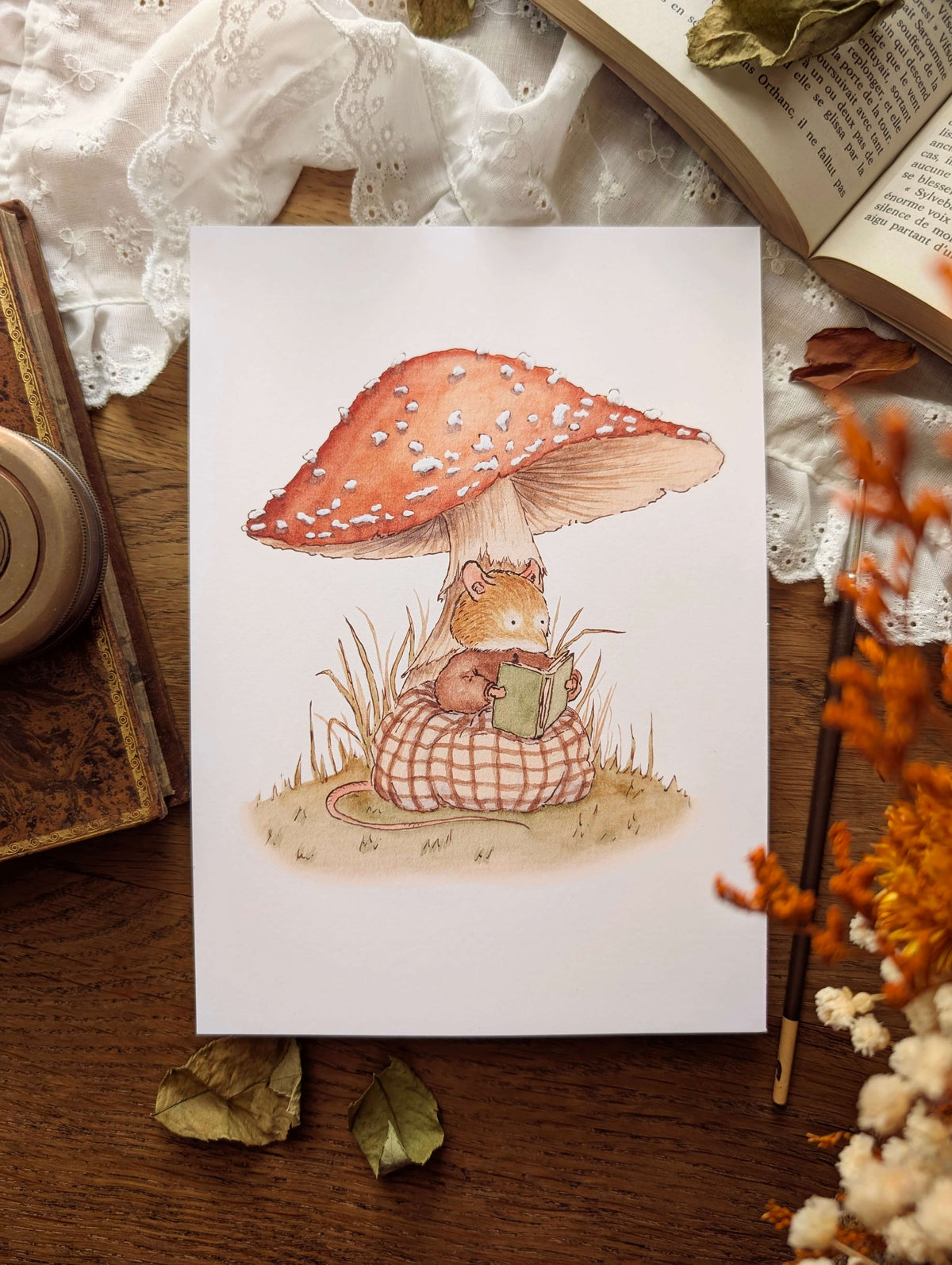 Illustration "Lecture Champignon"